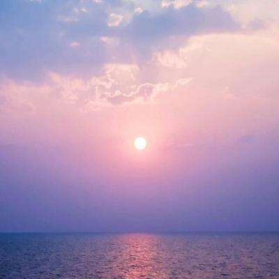 双赢彩票网站截图