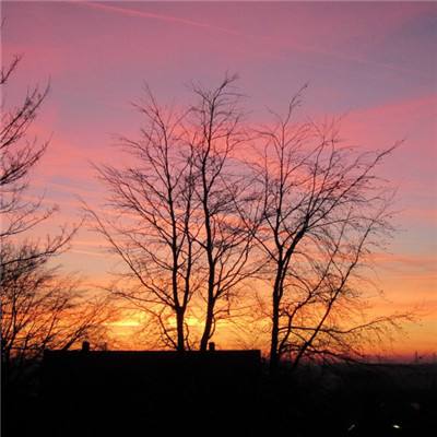 澳门新莆京游戏手机app下载